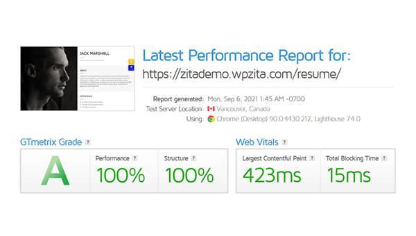 zita-pro-site-score